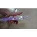 Ebanku 13-Piece Acrylic & Gel Nail Brush Set - Professional Nail Art Design Tools for UV Gel & Acrylic Painting - Buy Online on SooperMarket.com