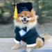 Pet Graduation Cap Dog Graduation Hat with Yellow Tassel Pet Grad Costume Party Apparel Holiday Accessory for Dogs Cats - Buy Online on SooperMarket.com