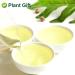 Plantgift Jasmine Dragon Pearls Tea 130g - Premium Green Tea & Oolong Blend - Best Jasmine Tea for a Soothing Experience | International Shipping - Buy Online on SooperMarket.com