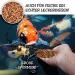 Dried Mealworms 1 Ltr (160g) - Premium Insect Snack for Birds Fish Turtles & Reptiles | Year-Round Bird & Hedgehog Feed - 1 Pack - Buy Online on SooperMarket.com