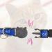Worded Cat Collars Please Do Not Feed Me/I Am Microchipped | Safe Quick Release Breakaway Buckle | Zacal Cat Collars - Red Please Do Not Feed Me Red Please Do Not Feed Me (Pack of 3) - Buy Online on SooperMarket.com