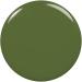Eddie Nail Polish | Vegan Salon-Quality Green Polish | Fall 2024 Patch It Up | International Shipping - Buy Online on SooperMarket.com
