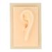 Silicone Ear Model Vivid Shape Durable Wearable Comfortable Soft Human Ear Model Glossy Texture Safe Practical for Teaching Demonstration(Left) - Buy Online on SooperMarket.com