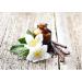 Vanilla extract Florika Vanilla 100 ml Gourmet quality 38% ABV - 100% natural no added sugar - Buy Online on SooperMarket.com