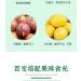 Honey pomelo lemon passion fruit tea handmade jam fruit juice healthy fruit tea 500g/can fruit flavor snacks Chinese tea fast food nutritional casual snacks (Lemon and Passion fruit 2 cans) Lemon and Passion fruit 2 cans - Buy Online on SooperMarket.com