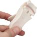Portable Mini Cat Paw Eyelash Curler - 2 Pieces | Professional Painless Tool for All - International Shipping - Buy Online on SooperMarket.com