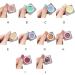 kawehiop Professional Solid Gel Nail Polish Rich Color Variety Neutrogena Hand And Nail Cream Gel Paint For Nails Art Nail Paint 9 - Buy Online on SooperMarket.com