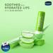 Unilever Vaseline Lip Therapy Aloe Care 2x4.8g 2 count - Buy Online on SooperMarket.com