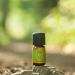 Primavera Life Swiss Stone Pine Organic Oil - 2 x 5 ml Pack - Natural Aromatherapy Essential Oil for Relaxation - Buy Online on SooperMarket.com