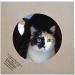Dezi & Roo Hide and Sneak Collapsible Paper Tunnel: Interactive Cat Toy for Enrichment - Buy Online on SooperMarket.com