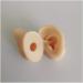 Medical Teaching Template Template Silicone Ear Template for Acupuncture - Size of Life Human Ear Model Lifeelike Artificial Ear Model - Buy Online on SooperMarket.com