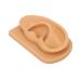 Kadimendium Ear Model Prevent Damage Soft Silicone Right Ear Model Waterproof Easy to Observe for Display
