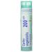 Carbo Vegetabilis 200ch Boiron Homeopathic Medicine