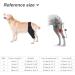 Pet Dog Injury Knee Brace Leg Inflammation Pain Alleviate Leg Support Sheaths for Dogs Outdoor Walking Accessories - Buy Online on SooperMarket.com