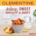 Mrs. Meyer's Clean Day Clementine Bar Soap - 5.3 oz | Cruelty-Free Formula with Essential Oils | Body & Hand Wash - Buy Online on SooperMarket.com