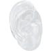 High-Quality Silicone Human Right Ear Model for Ear Sewing Practice - Waterproof Transparent Large Base - Buy Online on SooperMarket.com