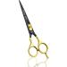 Glamified Glam Hair Cutting Scissors -Sharp Razor Edge Blade Hair Shears Series - 5.5" with Fine Adjustment Stainless Steel Hair Scissors Professional for Men Women & Babies (Black+Gold) - Buy Online on SooperMarket.com