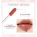 WALULAN Lip Plumping Nourishing Lip Color Gloss - Tootsie Lip Solution Cream 02 - Buy Online on SooperMarket.com