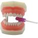 SNAWOP Aligner Chewies - 12PCS Silicone Chompers & Grip Stick for Invisalign Aligners | Best Tray Seaters - Buy Online on SooperMarket.com