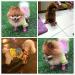 Pihappy Warm Winter Dog Boots XS Pink - Skidproof Snowman Paw Protectors 4PCS - Buy Online on SooperMarket.com