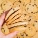 Fat Snax Low-Carb Soft Baked Keto Cookies - Chocolate Chip (Pack of 12) | Almond Flour, Gluten-Free, Low Sugar Snack | 2g Net Carbs, 8g Fat - Buy Online on SooperMarket.com