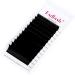 Easy Fan DD Curl 0.03 11-19mm Russian Lashes Natural Look - Buy Online on SooperMarket.com