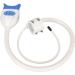 LED Tooth Whitening Device - Permanent Lightening & Adjustable Effects for Confidence | Safe & EU Plug Compatible - Buy Online on SooperMarket.com
