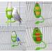 Cuttlebone Holder for Birds - 3 Pcs Parrot Stand with Plastic Cuddle & Bone Sticks - Ideal for Parrots Parakeets & Finches (Green) - International Shipping - Buy Online on SooperMarket.com