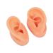 Soft Artificial Ear Display Model for Hospitals - Anatomically Accurate Simulation - Buy Online on SooperMarket.com