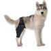 CORHAD Dog Leg Braces for Hindleg Comfortable Dog Knee Dog Back Leg Protector Puppy Pet Mesh Fabric Care M As Shown - Buy Online on SooperMarket.com