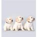 Buy Amber Dog Collar for Large & Small Dogs | Natural Bank Chain Collar - 58 cm | International Shipping - Buy Online on SooperMarket.com
