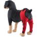 Pet Dog Knee Brace ACL Brace for Dogs Rear Leg Dog Braces for Back Leg for Support for Heals Prevents Injuries Sprains Red Medium Medium Red - Buy Online on SooperMarket.com