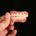 Fake Teeth Upper and Lower Veneer Dentures (2PCS) for Men and Women - Buy Online on SooperMarket.com