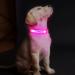 Buy Laroo Waterproof LED Light Band for Dogs & Cats - Bright Easy Attach Flashing Collar Light in Pink - Buy Online on SooperMarket.com