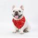 Shop Taozoey 3PCs Dog Neckerchief & Bandana - Stylish Accessories for Small & Medium Dogs & Cats - Buy Online on SooperMarket.com