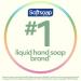 Softsoap Antibacterial Sensitive Rosewater & Aloe Hand Soap 11.25 Oz - 6 Pack - Buy Online on SooperMarket.com