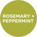 Sapadilla Rosemary + Peppermint Variety Pack - 16 oz Hand Soap, Dish Soap, Countertop Cleanser - Buy Online on SooperMarket.com