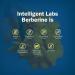 Intelligent Labs Berberine Supplement HCL Plus Max Potency 450 MG Per Capsule - 120 Capsules - Buy Online on SooperMarket.com