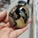 Home Decoration 1pcs Turtle Bay Palm CrystalStones Natural Carved for Feng Shui Stones ZJGIDTEM - Buy Online on SooperMarket.com