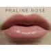 LipSense Bundle (Napa) - Lip Color & Glossy Gloss Set - Buy Online on SooperMarket.com
