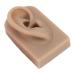 Flexible Silicone Right Ear Model - 3 Colors for Acupuncture Training - Buy Online on SooperMarket.com