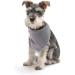 Lionet Paws Dog Bandana - Triangle Scarf for Dogs Grey SS (Pack of 1) | Stylish & Durable Pet Accessory for Global Shipping - Buy Online on SooperMarket.com