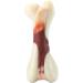 Tikaton Indestructible Dog Chew Toys - Real Beef Flavor for Large, Medium & Small Puppies | Durable Teething Bones for Aggressive Chewers - Buy Online on SooperMarket.com
