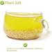 Flower 2 (150G-Yellow Buckwheat Tea) - Buy Online on SooperMarket.com