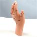 Acupuncture Hand Model Reflexology Acupoint Study Kit - Buy Online on SooperMarket.com