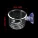 Senzeal 2PCS Large Glass Feeding Cone Cup for Aquarium with Seam - Ideal Fish Feeder for Brine Shrimp and Red Worms - Buy Online on SooperMarket.com
