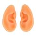 Ear Model ANGGREK 2 Pieces Ear Modeling Tools Hearing Amplifier Dispalying Assistance Display Ear Model Ear Wraps for Teaching Replacement - Buy Online on SooperMarket.com