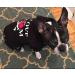 EXPAWLORER Dog Hoodie - Soft and Warm Dog Sweatshirt Pet Clothes Fall Winter Sweater with "I LOVE MY MOM" Lettered for Puppy Cat Small Medium Large Dogs (Large) - Buy Online on SooperMarket.com