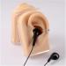 3 Pc Silicone Ear Model - Simulation Artificial Ear Model - for Hearing Aids Wearing & Ear Canal Products Display Right - Buy Online on SooperMarket.com