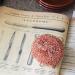 Andr e Jardin Sponge Ball Scraper Copper Multicolored One Size - Buy Online on SooperMarket.com
